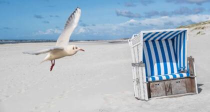 Ferienhaus Am Yachthafen