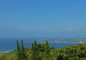 Bãi biển