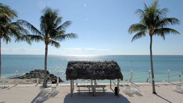A beach with a thatched hut, palm trees, and lounge chairs.
