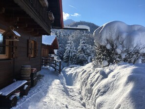 Terrain de l’hébergement 