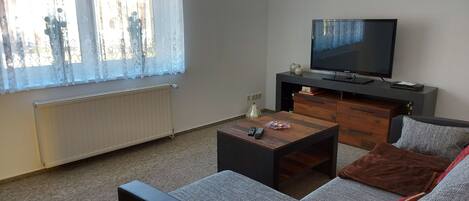 Un salon avec un canapé, une table basse, un téléviseur et un radiateur.