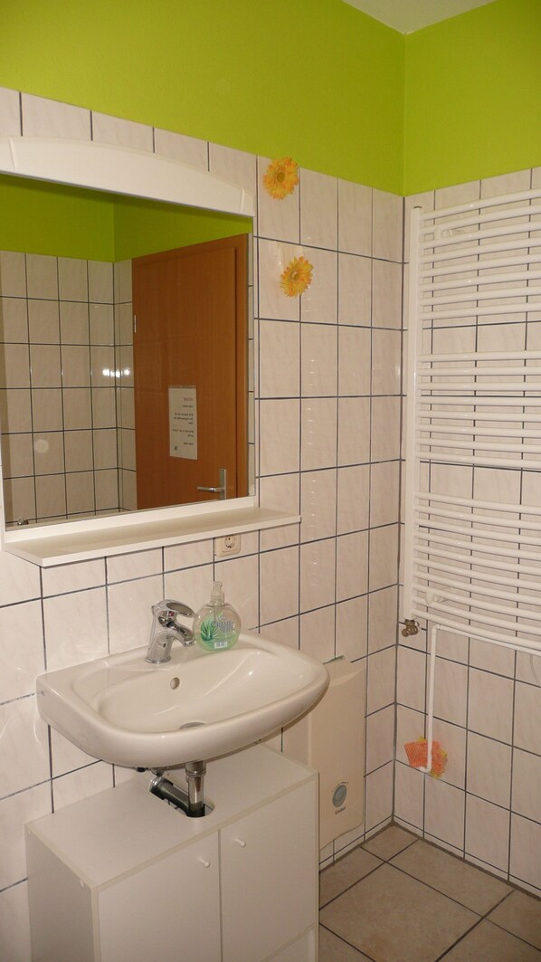 A bathroom with a white sink, green walls, and a mirror above it. - Beautiful apartment in the Müritz National Park to relax and unwind or active holidays. (Federow)