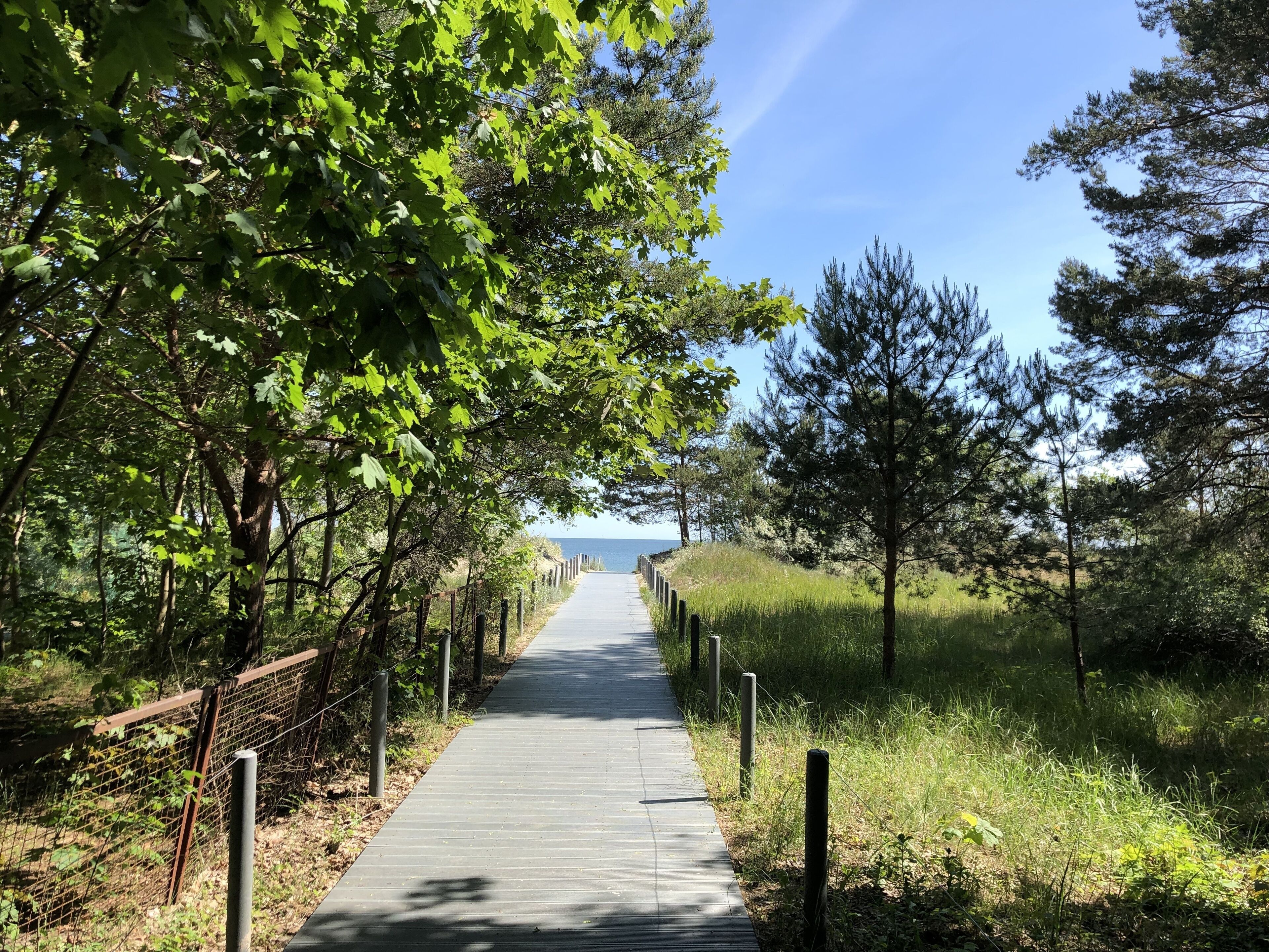 Une promenade en bois, bordée d’une rambarde métallique d’un côté, entourée d’arbres et d’herbe, et qui mène à un plan d’eau.