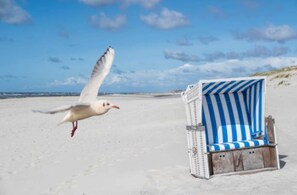 Une chaise de plage avec un coussin à rayures bleues et blanches, posée sur une plage de sable.