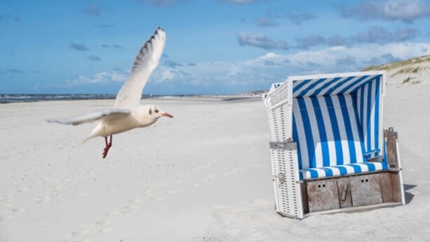 A beach chair with a blue and white striped cushion on a sandy beach. - Holiday house Blue Salon (Karlshagen)
