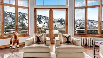 Televisor intel·ligent, llar de foc, llibres i videoteca