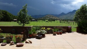 Un patio con plantas en macetas, un muro de ladrillo y vistas a un viñedo y montañas.