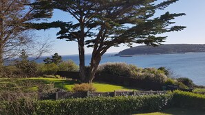 A coastal landscape with a large tree, a grassy area, and a view of the sea and distant land.