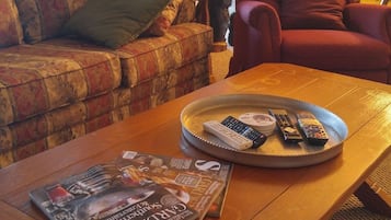 Een televisie, een open haard, videogames en een dvd-speler