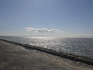 Unclassified image, 2 of 26, button