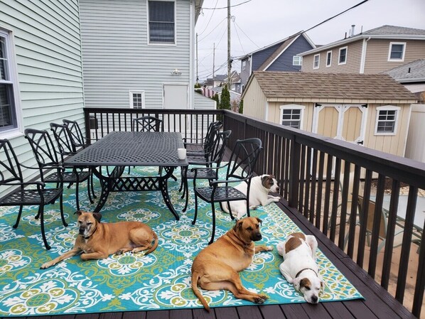 A covered patio with a patterned floor, outdoor furniture, and three dogs.
