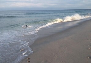 Playa
