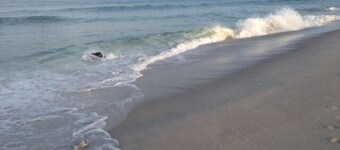 A un isolato dalla spiaggia, leggi le recensioni degli ospiti.  
