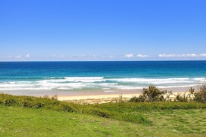A beach with clear blue water, a sandy shore, and green vegetation.