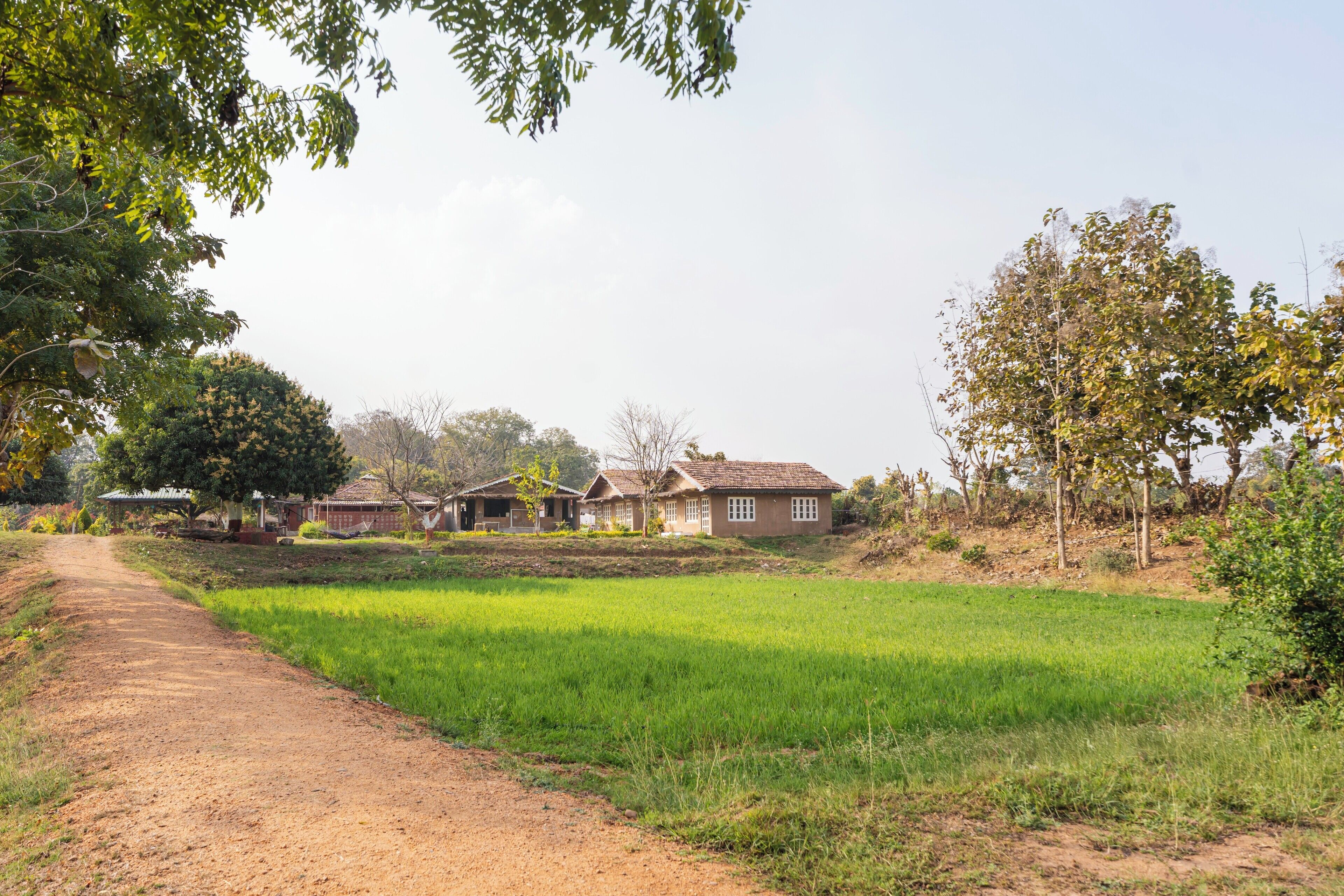 A rural landscape with a dirt path leading to a row of houses.