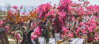 Quinta Devónia - Nogueira, with sea view