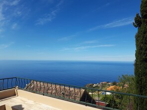 Property grounds - Villa Tomito, Arco da Calheta (Arco da Calheta)