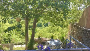 Un jardin avec un mur en pierre, une rambarde en métal et des plantes en pot.