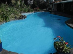 Outdoor pool - WATERS EDGE BED & BREAKFAST (Kaitaia)