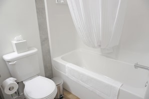Shower, towels, soap, toilet paper