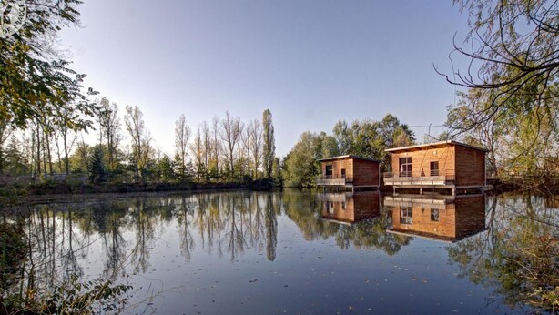 Two wooden cabins on stilts over a calm lake, surrounded by trees. - Modern chalet 4-6 ppl, pets allowed, private terrace (Veauchette)