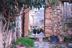 Jardines del alojamiento