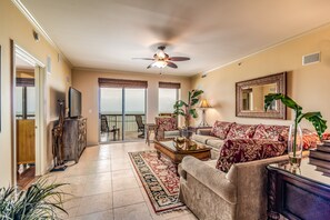 电视、DVD 播放器