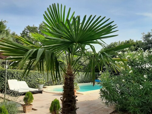 Tourtour, Provence,Var. Sleeps 6, swimming pool, tennis court,  calme.