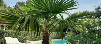 Tourtour, Provence,Var. Sleeps 6, swimming pool, tennis court,  calme.