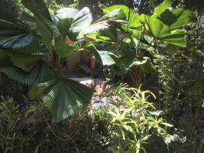Property grounds - Your second home sweet home nature chalet surrounded by nature (Silang, Cavite)