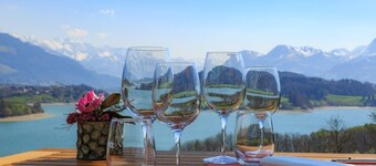 Romantik Hotel Le Vignier