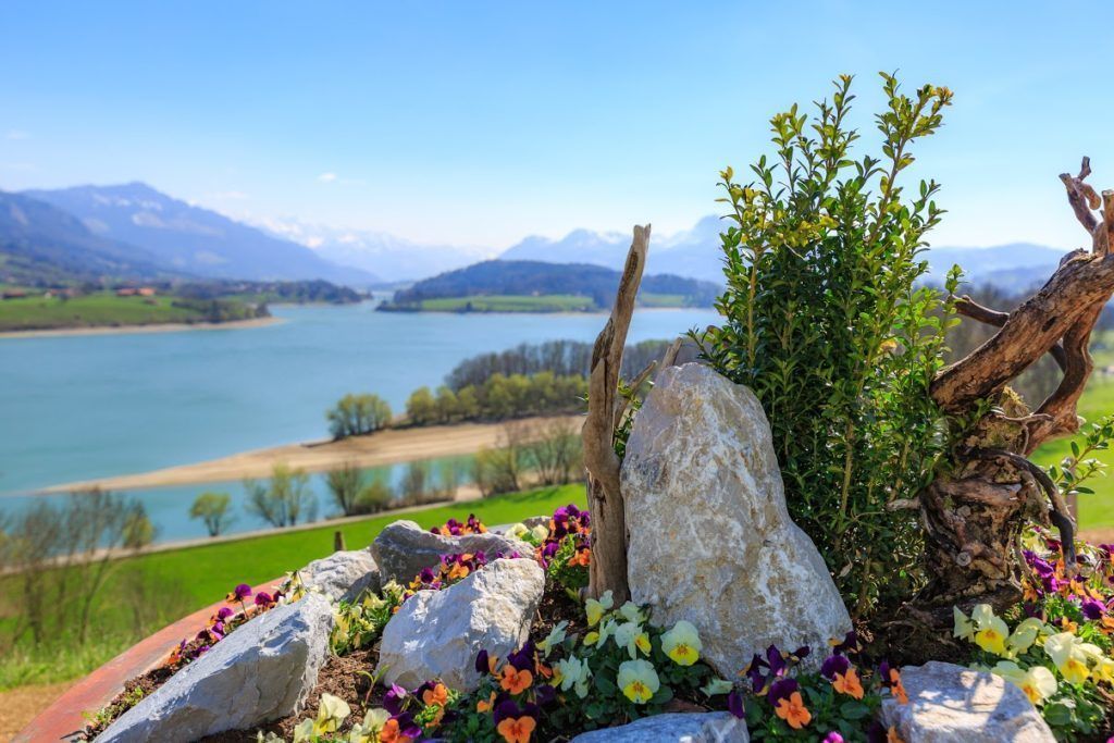 double or twin room, lake view | view from room