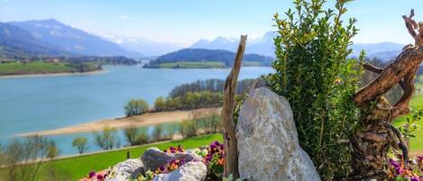 A scenic view of a lake with mountains in the background, surrounded by rocks and colorful flowers.