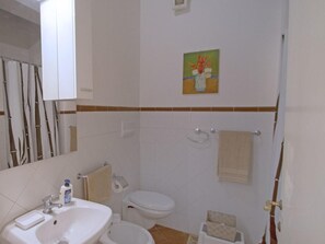 Shower, hair dryer, bidet, towels