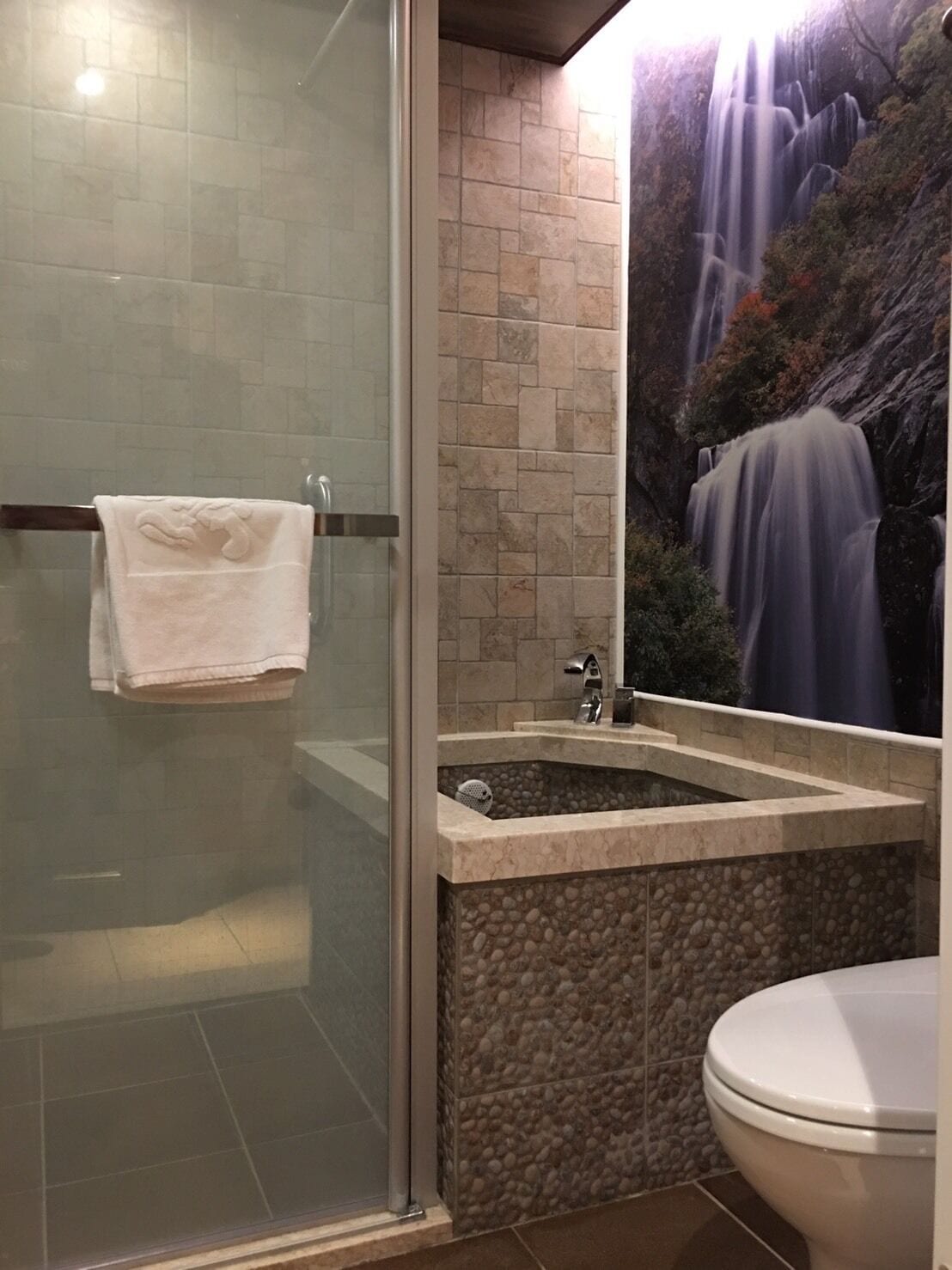 A bathroom with a glass-enclosed shower, a stone sink, and a toilet.