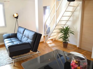 Flat-screen TV - Loeb 2: T2 with mezzanine in Biarritz (Biarritz)
