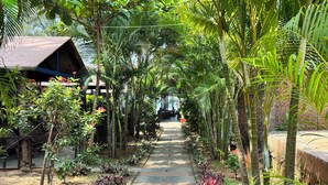 A pathway lined with tropical plants and a rustic building structure. - Peace Garden Goa (Canacona)