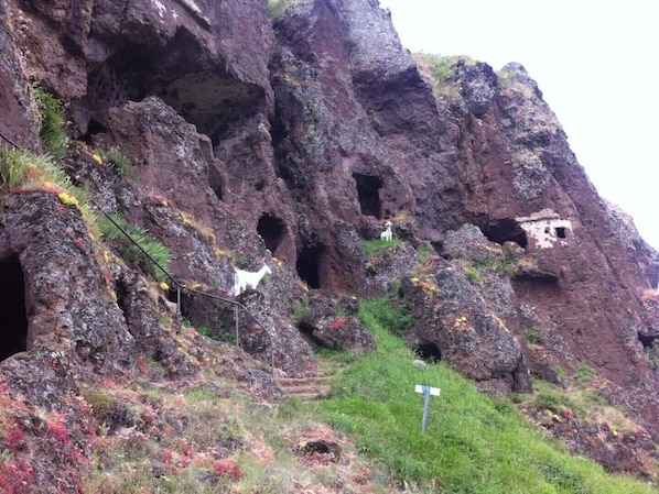 Une falaise escarpée, parsemée de nombreuses grottes, et une chèvre se tenant au bord.