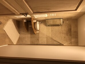Shower, towels, toilet paper