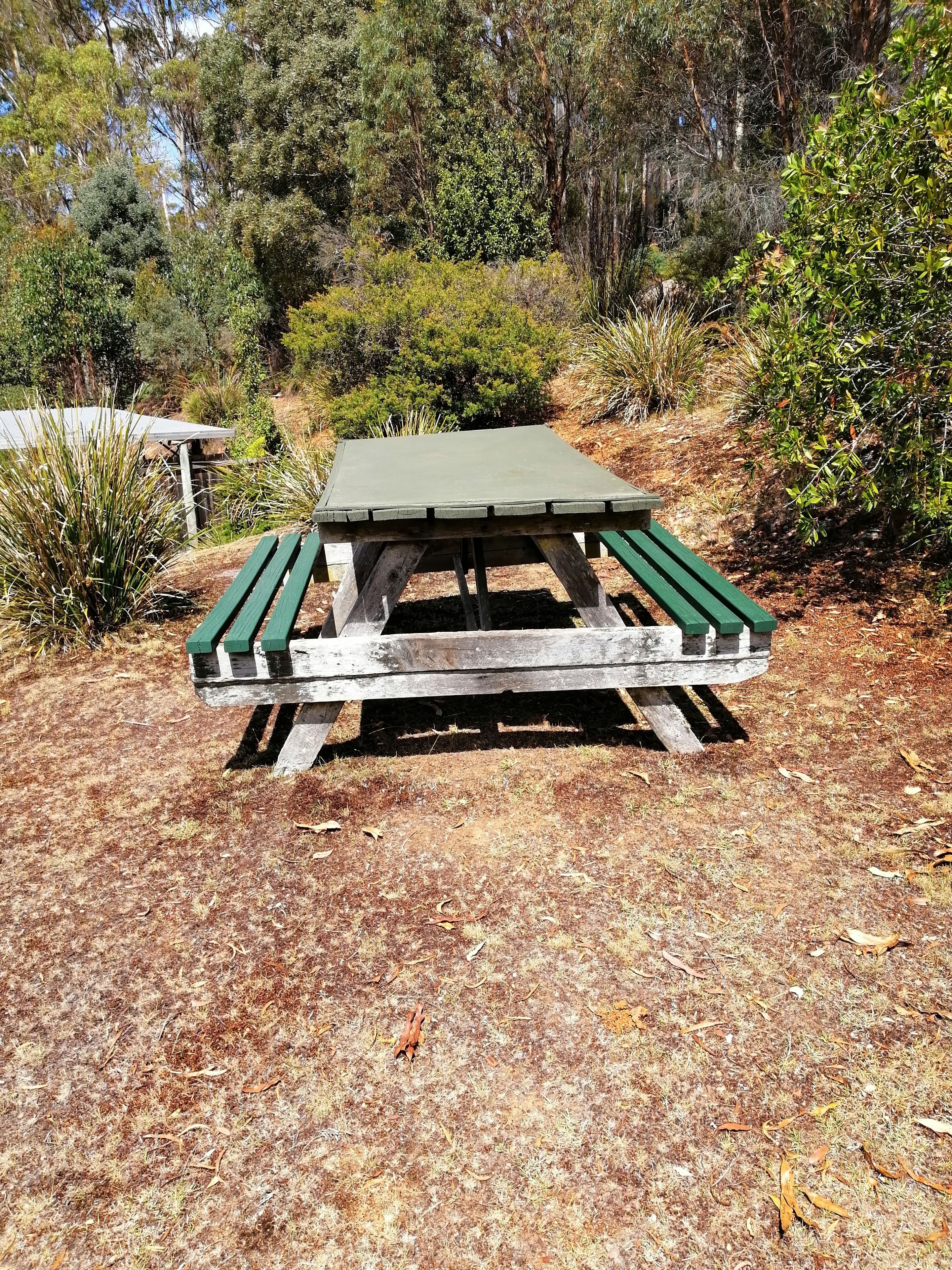Una mesa de picnic en un entorno natural, con pasto seco y varios arbustos.