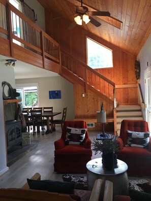 Älytelevisio, takka, DVD-soitin, videokirjasto