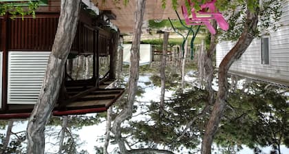 Kamp Planik- Campsite