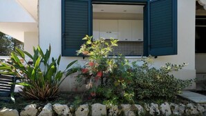 A modern house with a kitchen visible through open green shutters. - Vacanze al Minci (Giurdignano)