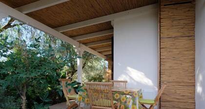 Vacanze al Minci