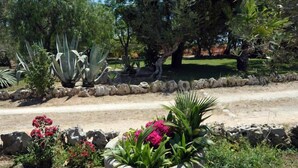 A garden with various plants and a stone pathway. - Vacanze al Minci (Giurdignano)