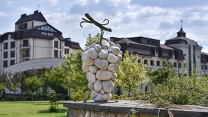 Exterior - Hotel Irys by Derenivska Kupil (Nyzhnje Solotvyno)