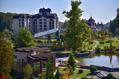 Hotel Irys by Derenivska Kupil