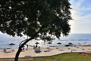 Une plage avec des chaises longues, des parasols et un arbre qui offre de lâombre.