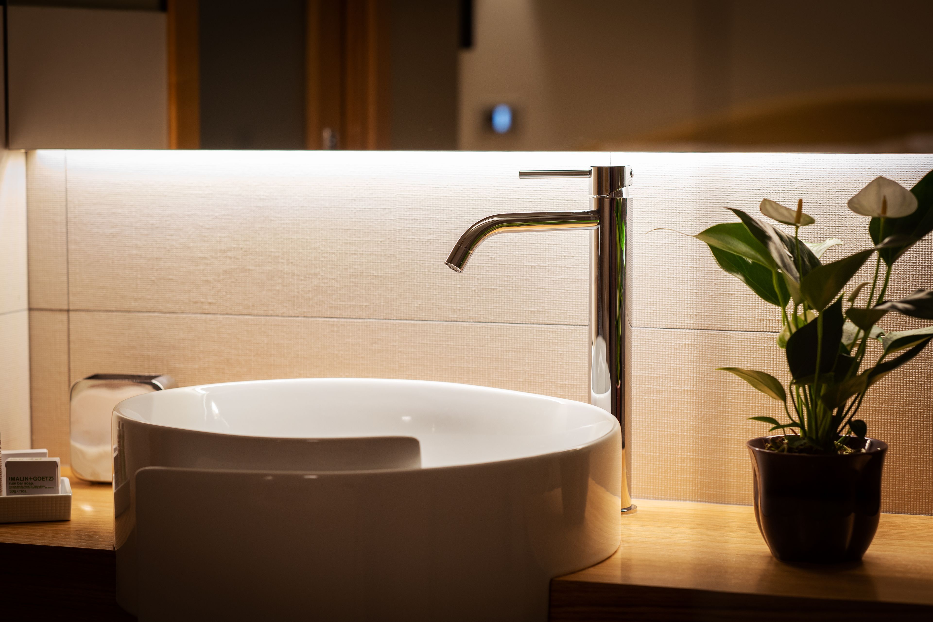 A modern bathroom with a white vessel sink, a chrome faucet, and a potted plant on the counter.