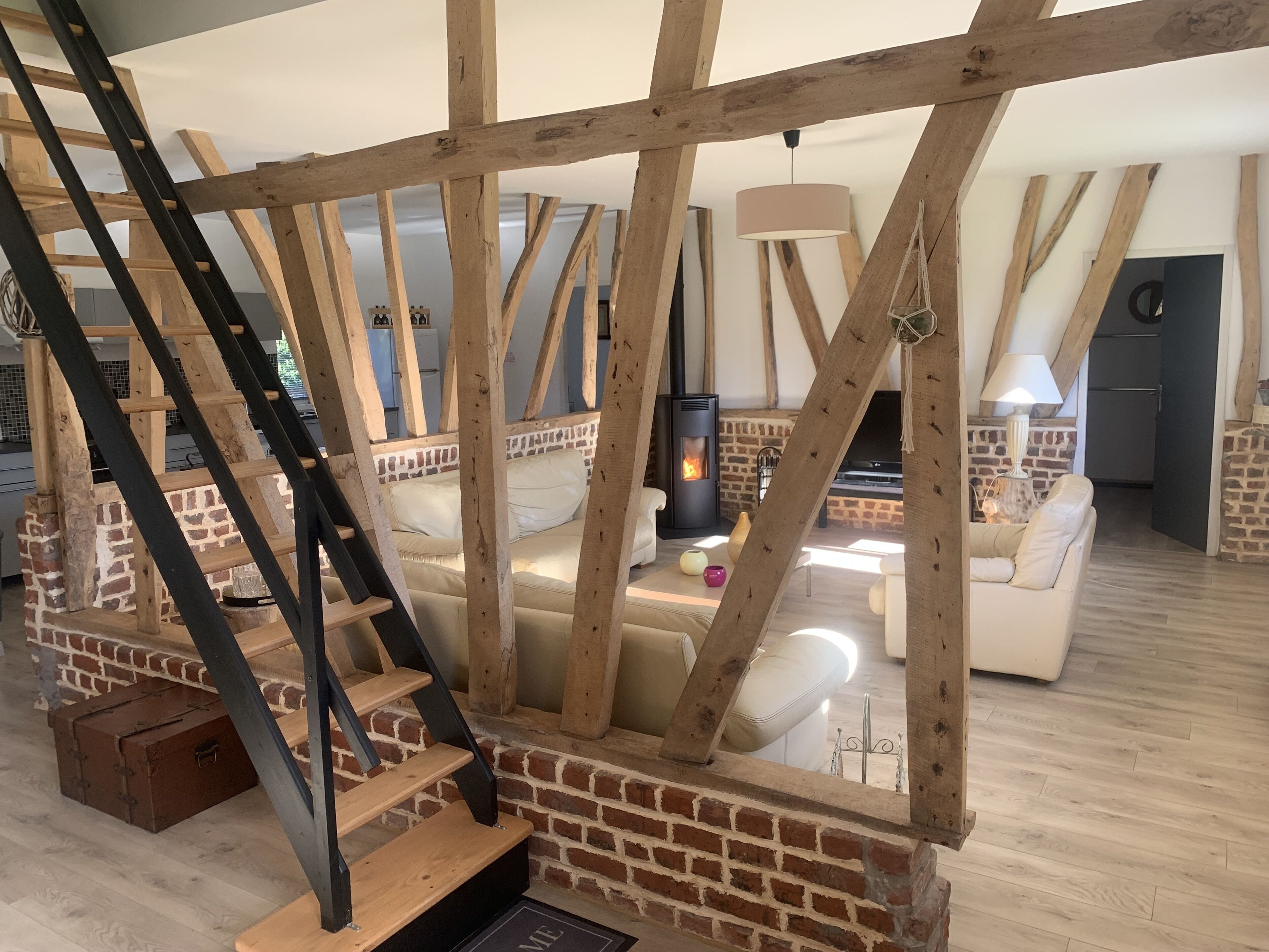 TV, ping pong, books